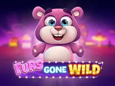 Kinbet casino screenshot